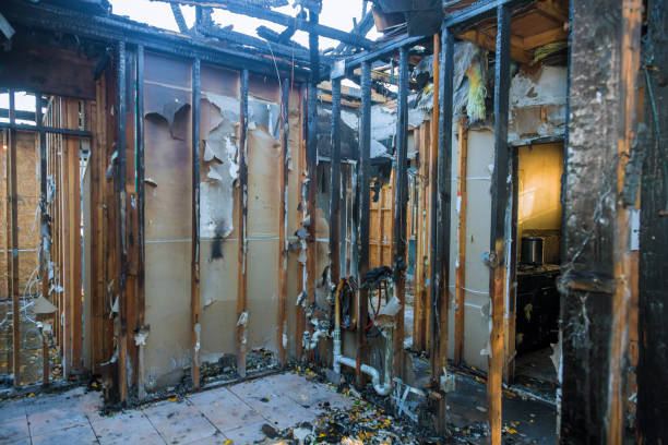 Professional Smoke Damage Removal technician working in Timber Pines, FL